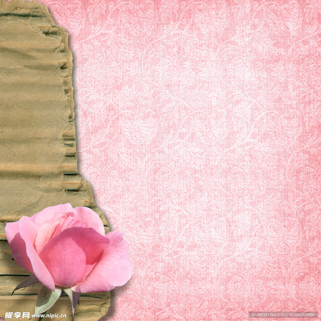 婚纱婚礼背景 撕裂的纸 玫瑰