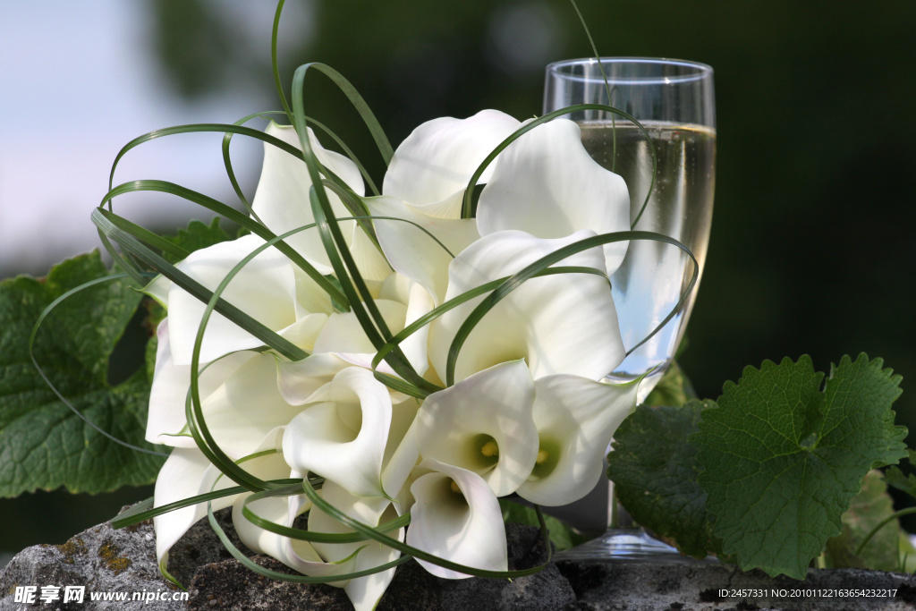 婚纱婚礼背景 香槟鲜花