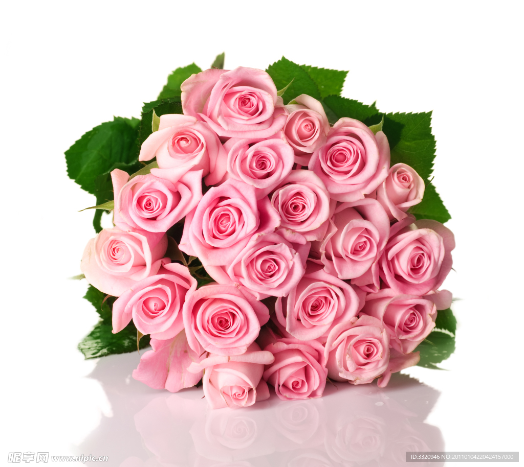 玫瑰花高清图片