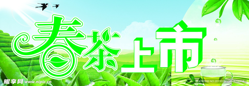 春茶上市