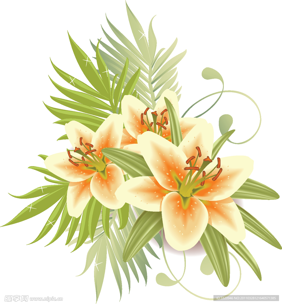 百合花矢量素材