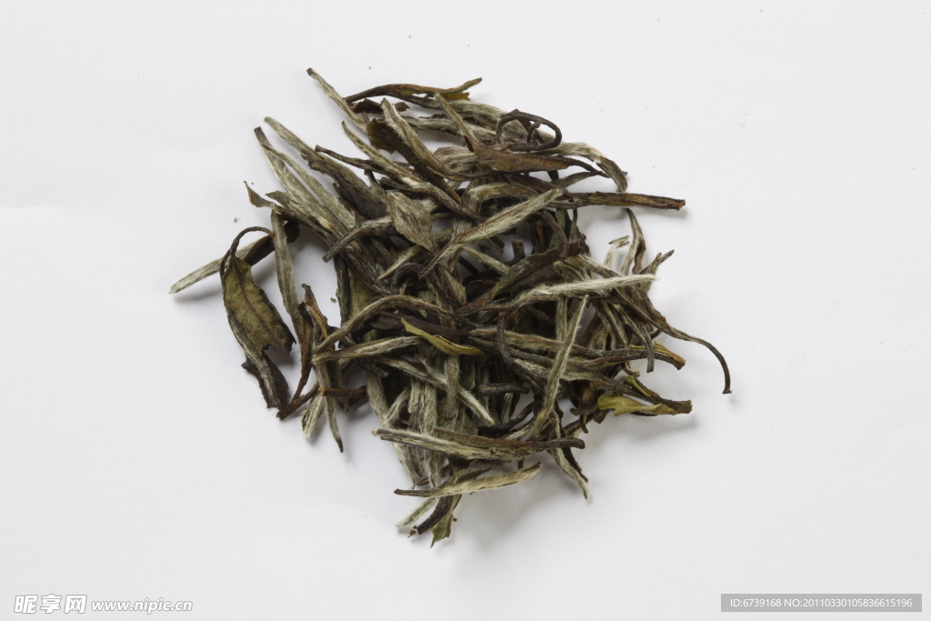 白牡丹 茶叶 名茶 中国名茶