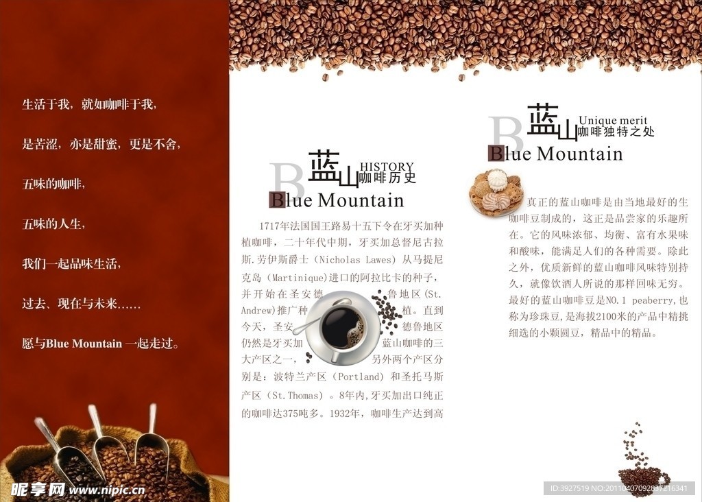 蓝山咖啡三折页
