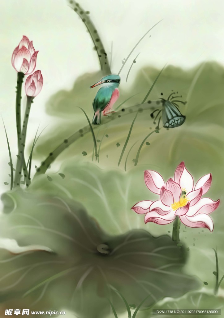 荷花 国画荷花