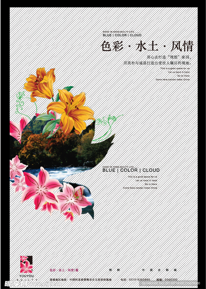 百合花