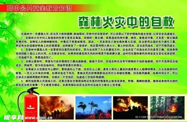 森林火灾展板