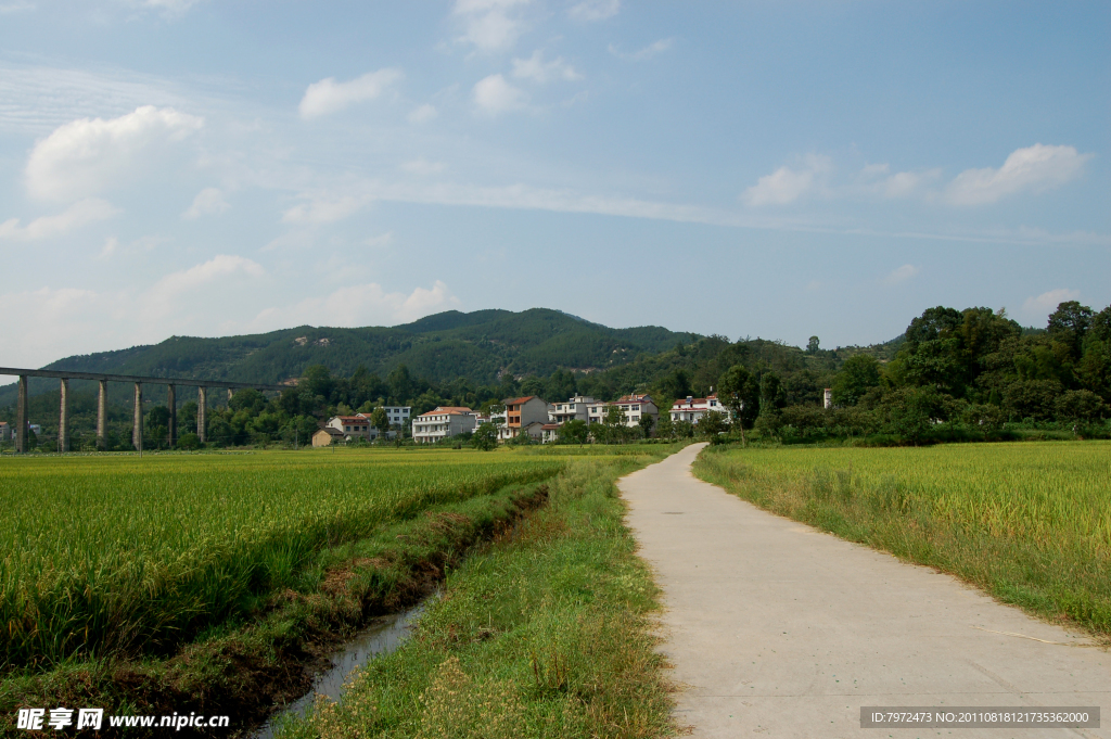 田园风光