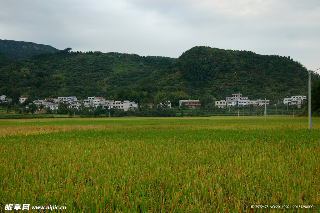 田园风光