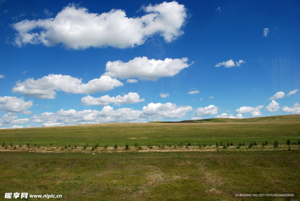 草原 蓝天白云