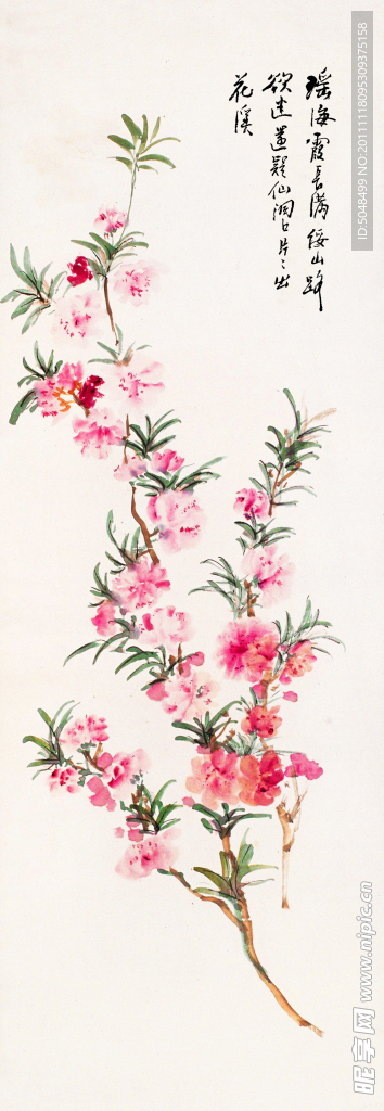 国画桃花