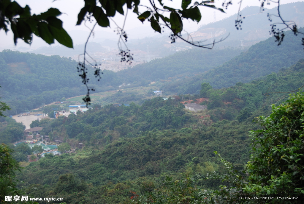 深圳园山风景