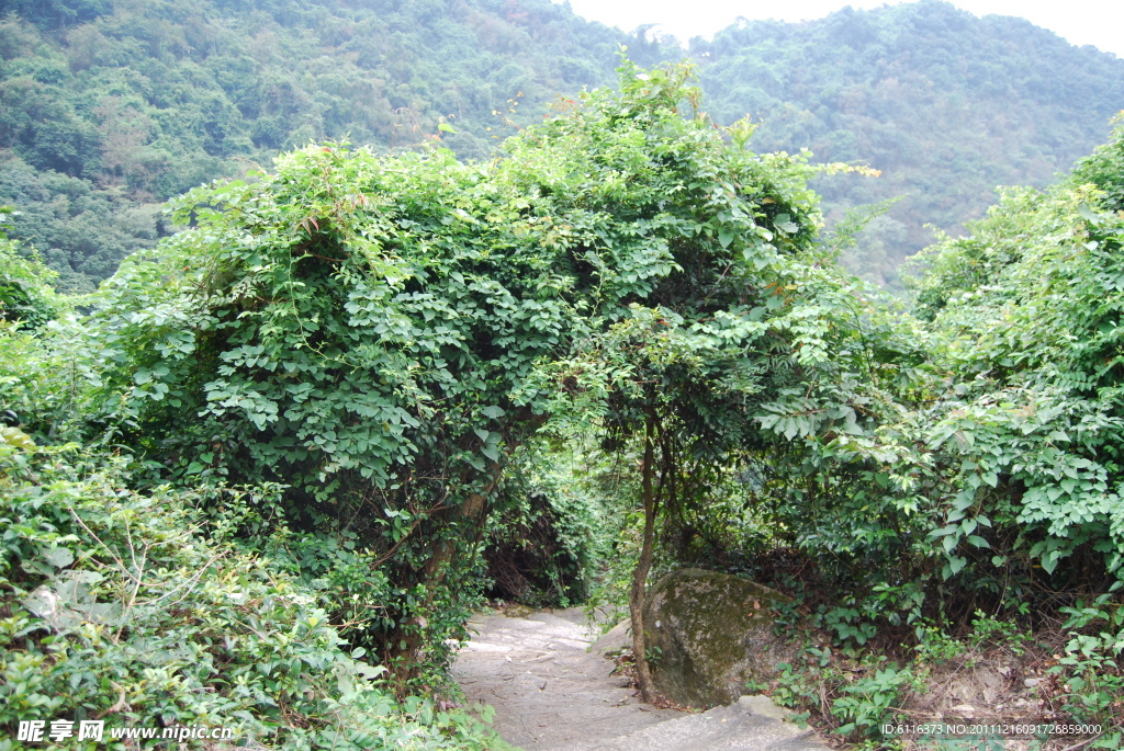 深圳园山风景