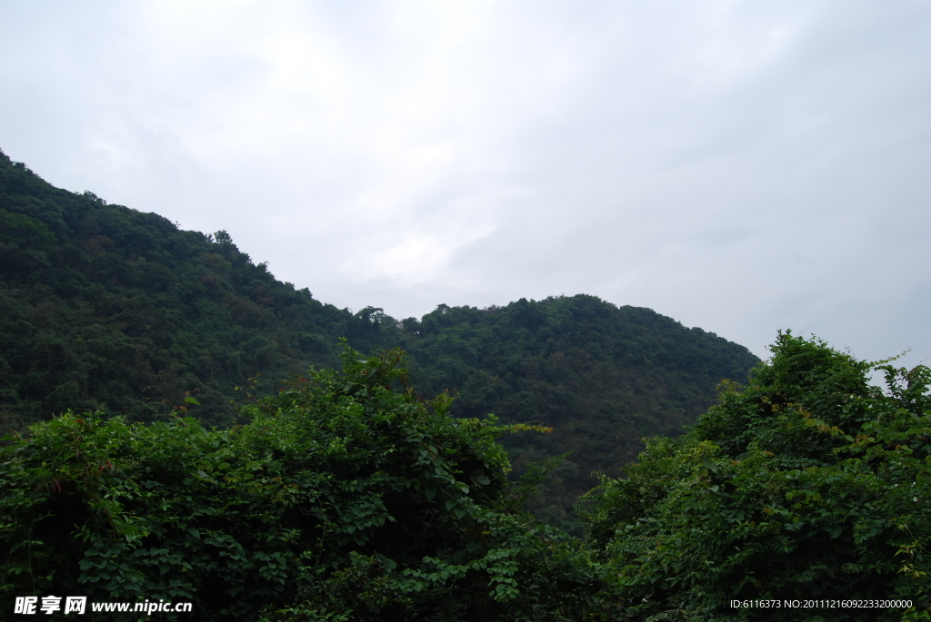 深圳园山风景