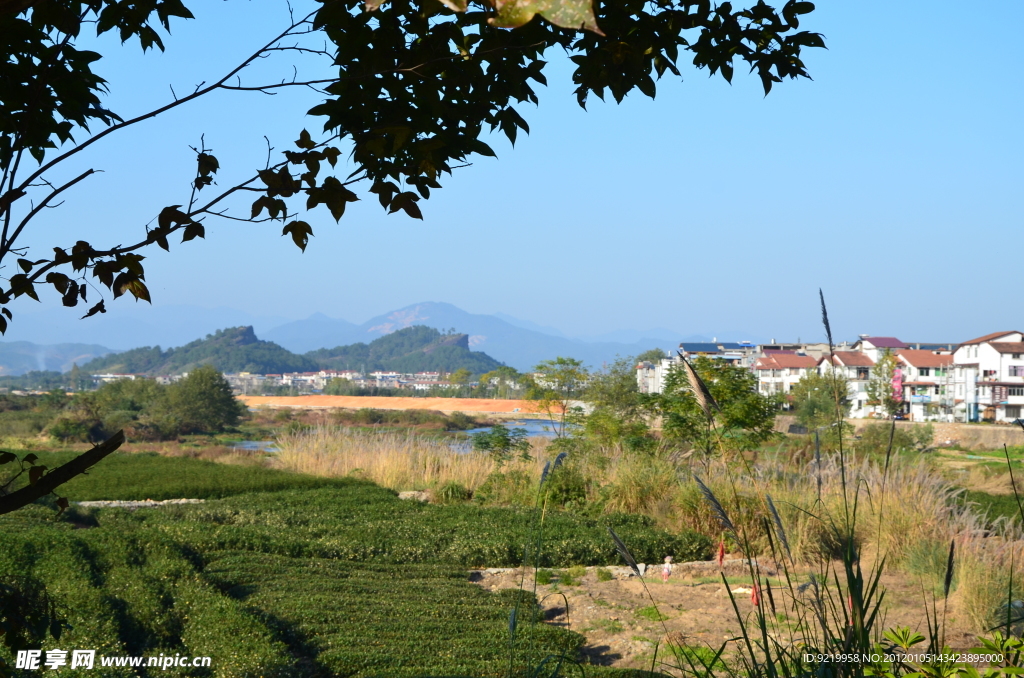 武夷山风景