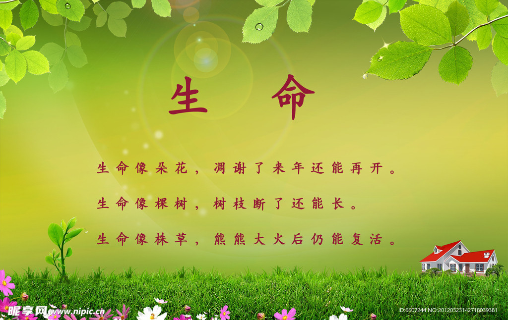 绿色背景素材