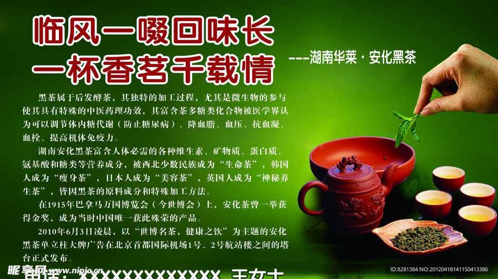 湖南华莱安化黑茶素材