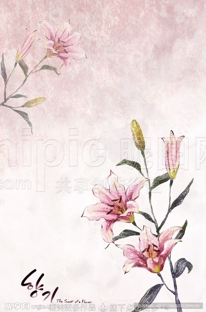手绘百合花