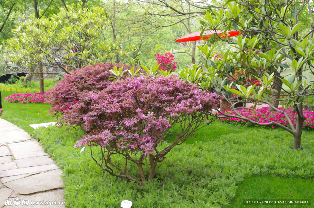 杭州西溪花朝节