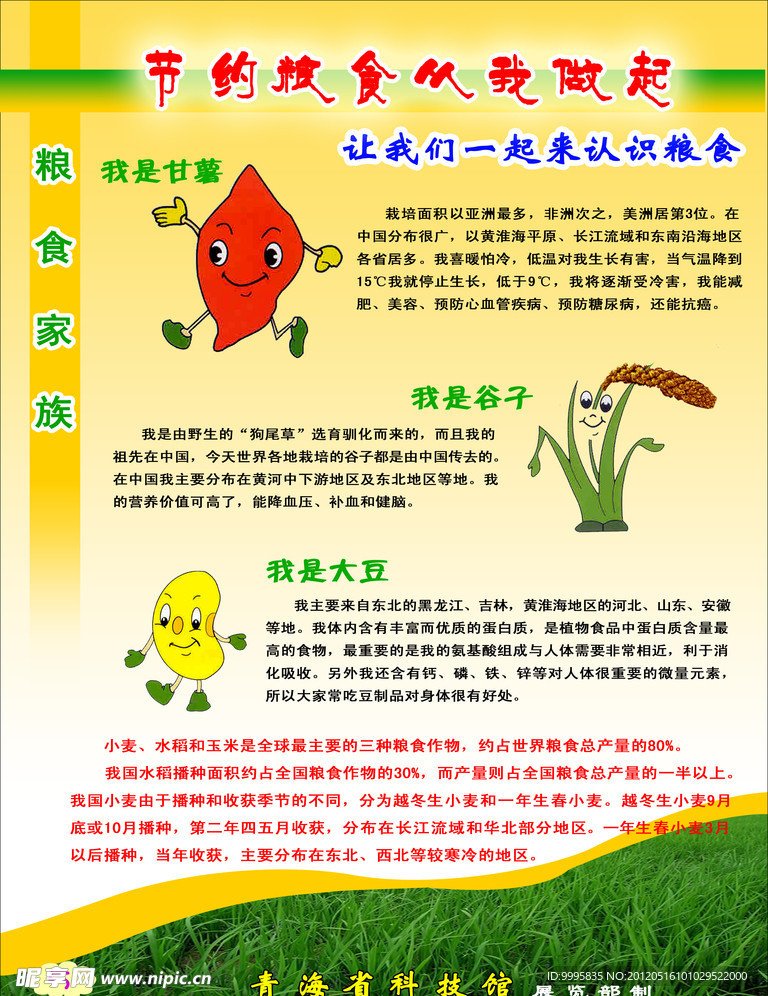 节约粮食从我做起