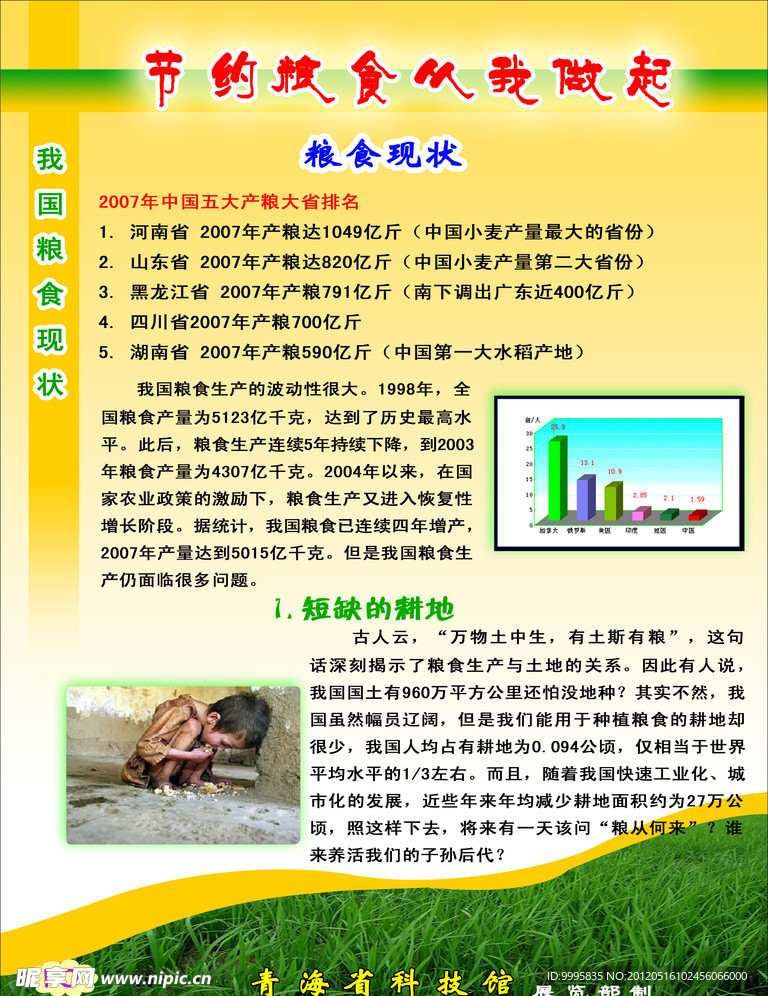 节约粮食从我做起