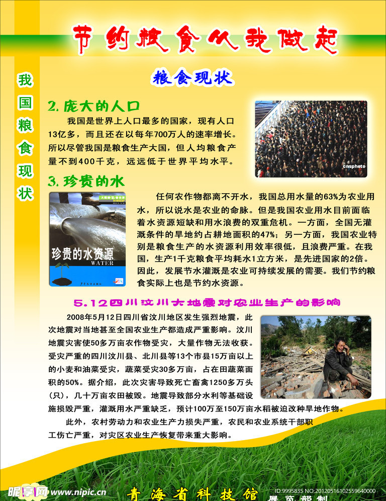 节约粮食从我做起