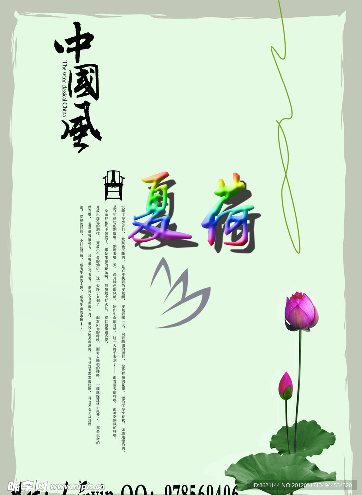 中国风夏日荷花