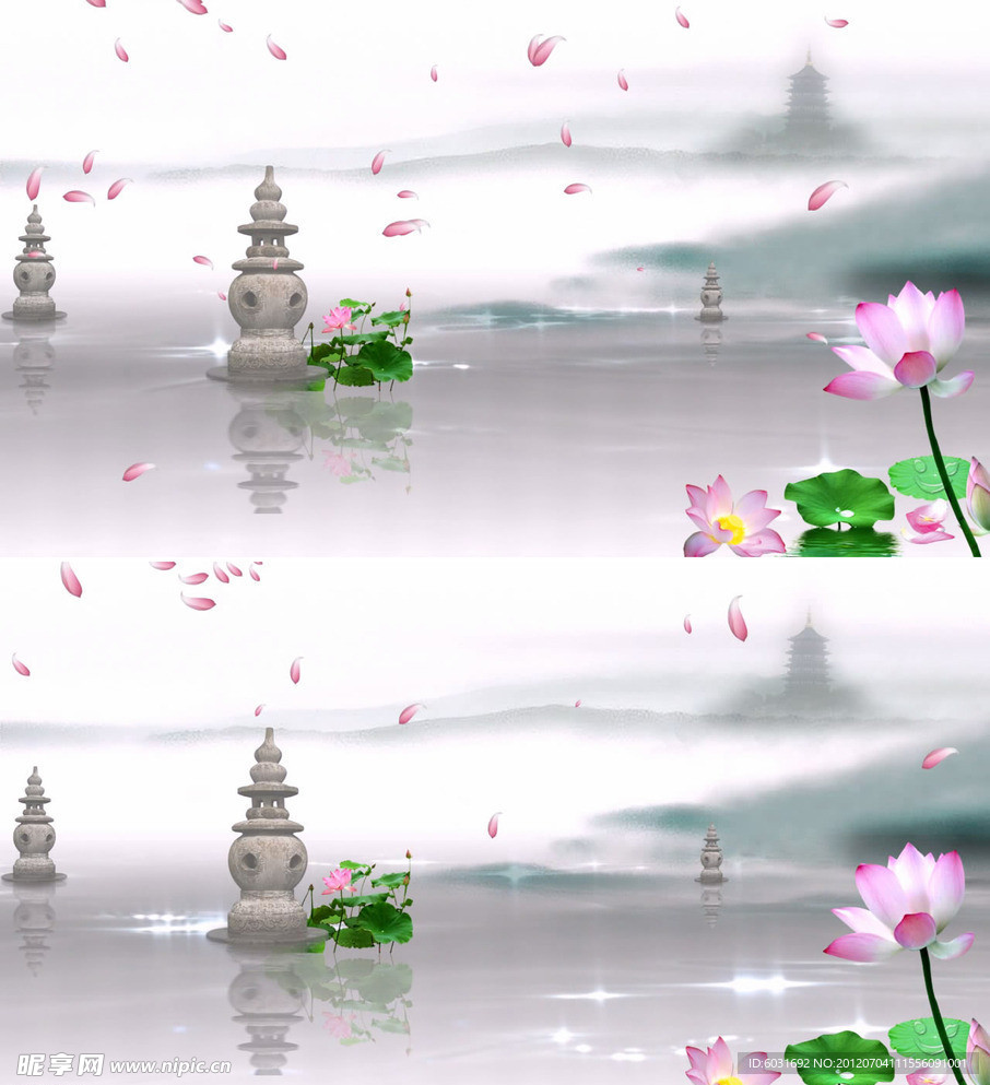 西湖三潭荷花视频（AE）