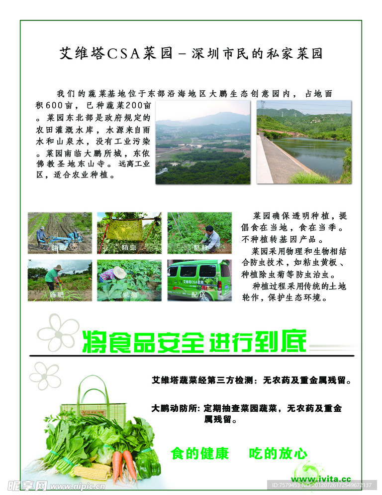 绿色蔬菜简报