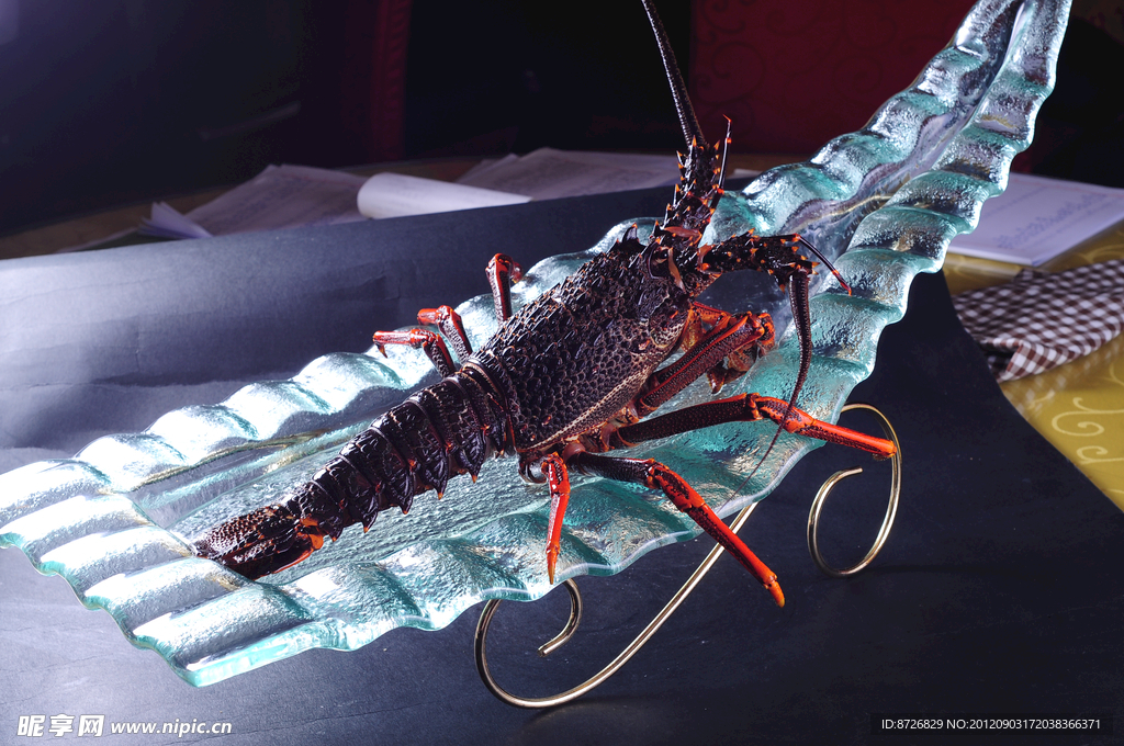 澳洲龙虾
