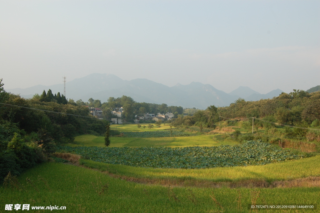 田园风光