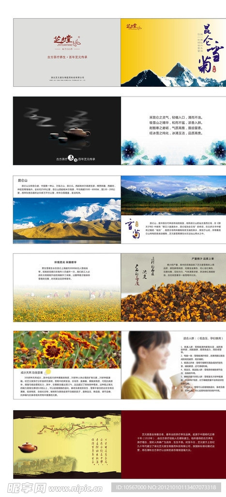 血菊产品手册