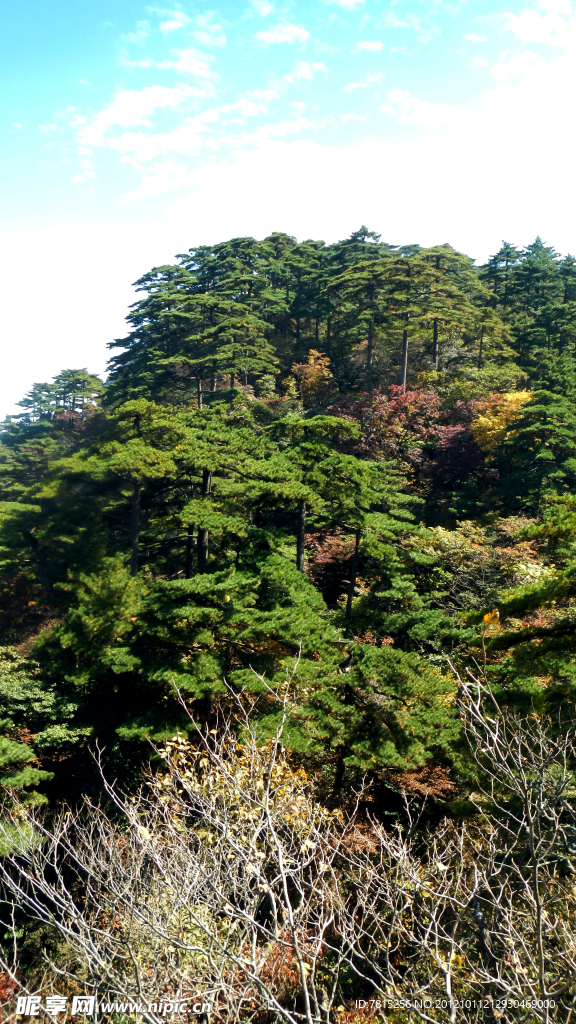 黄山