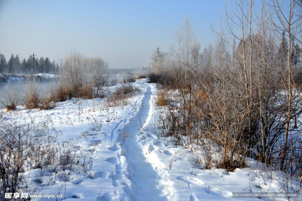 雪景