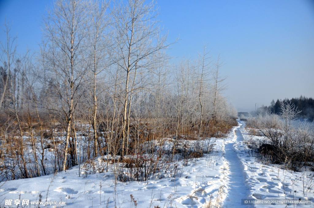 雪景