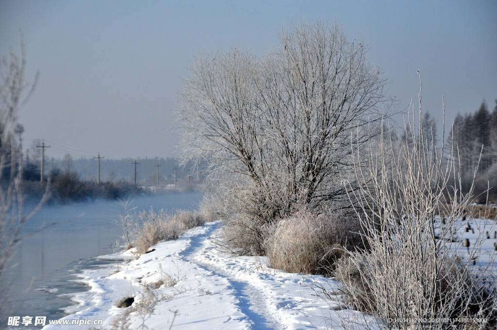 雪景