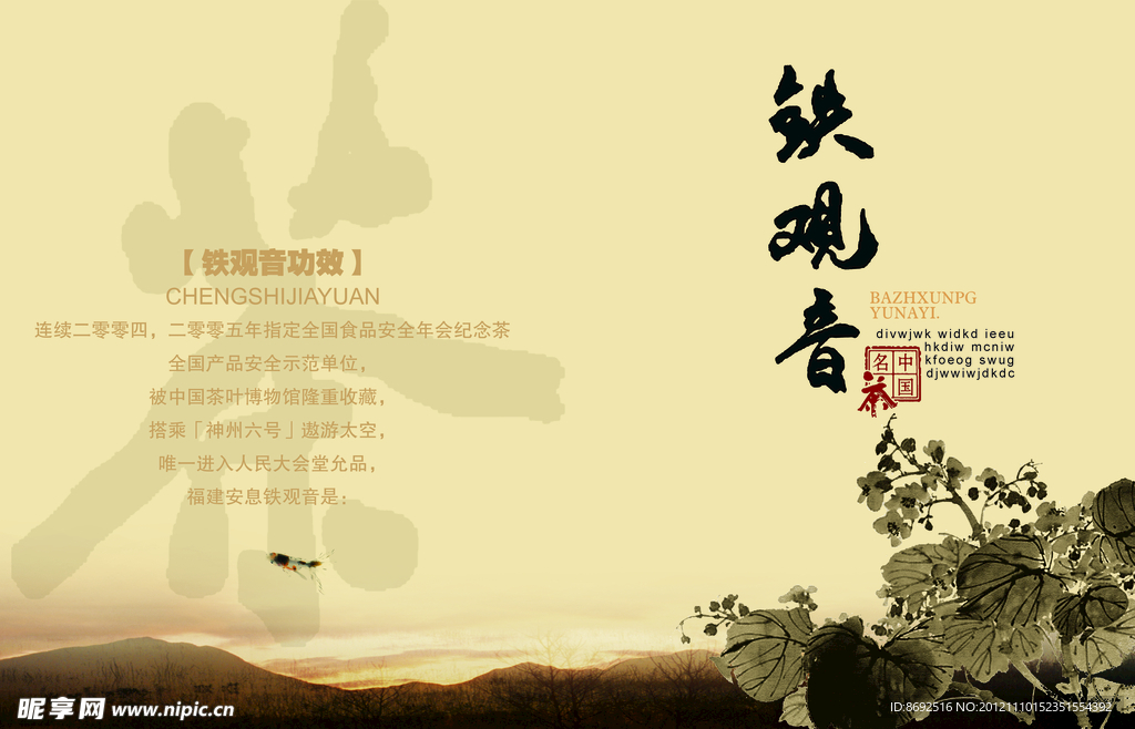 铁观音画册