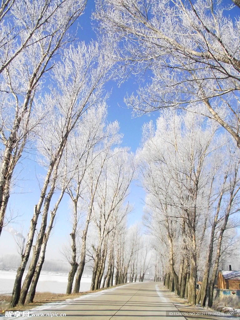 雾凇