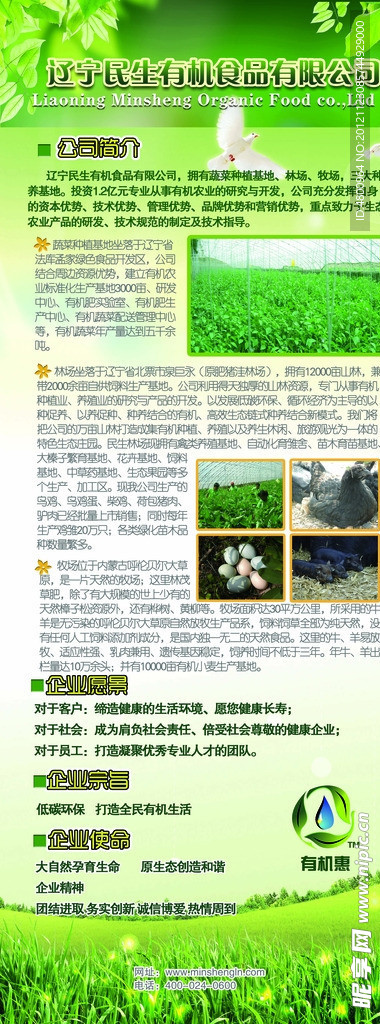 公司简介易拉宝