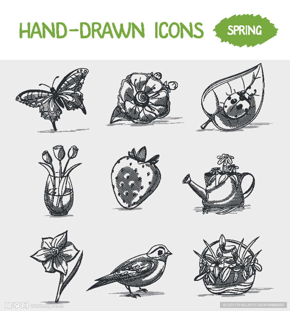 动植物手绘图标