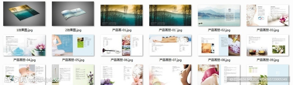 SPA产品手册 (注位图合层)