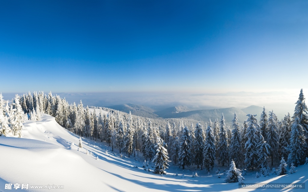 林海雪原