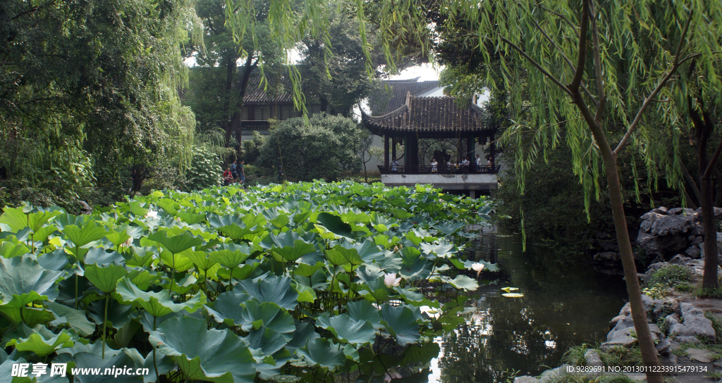 江南水乡风景