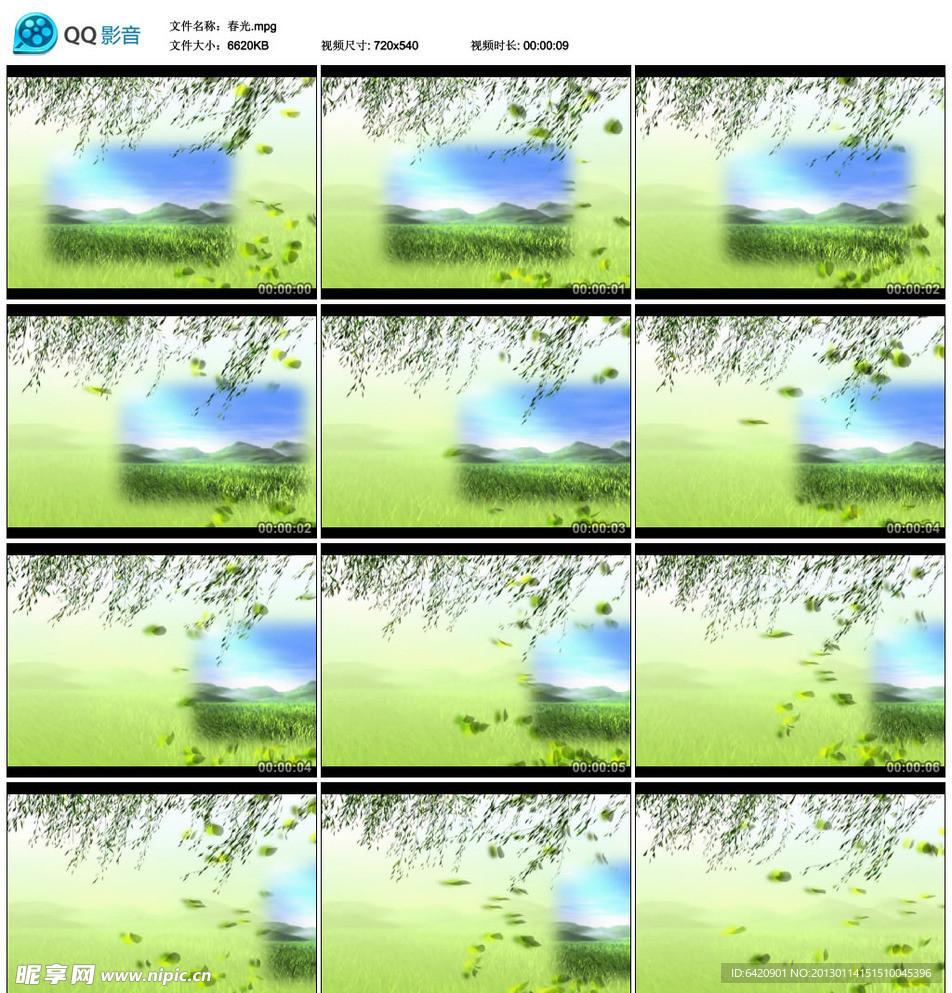 春光