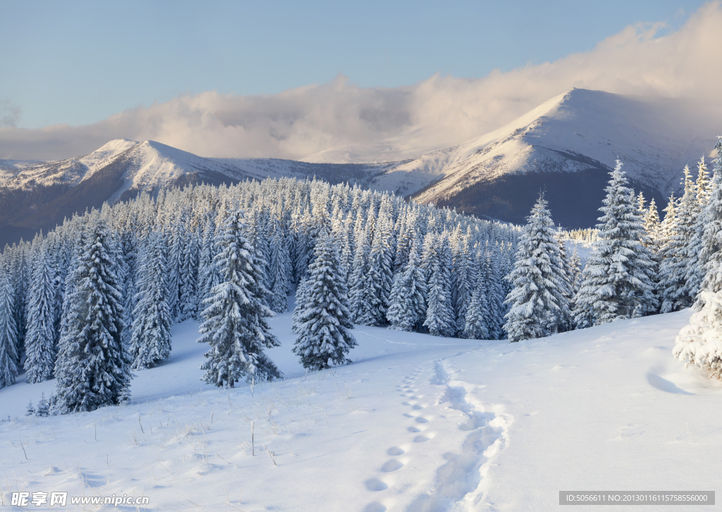 雪景