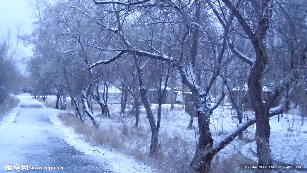雪景 雾凇 田园风光