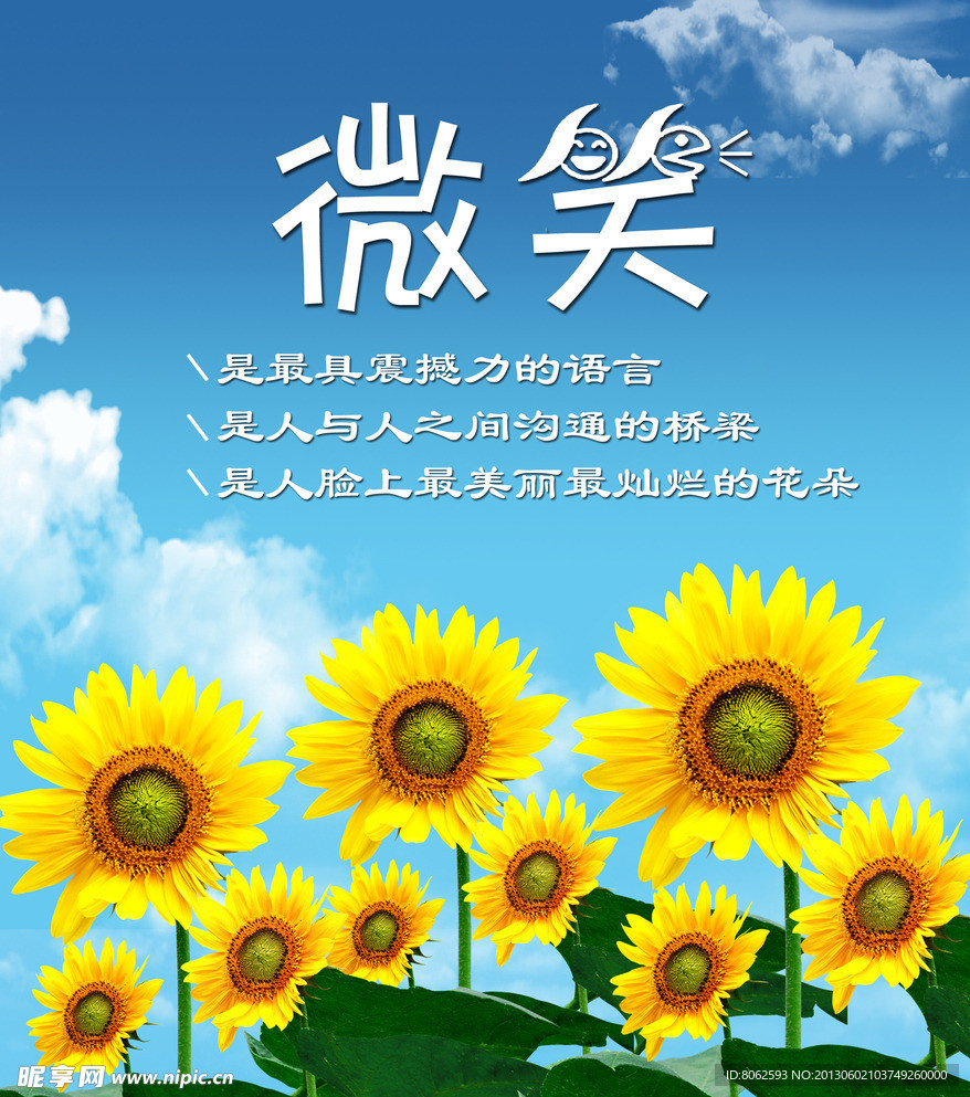 班级文化