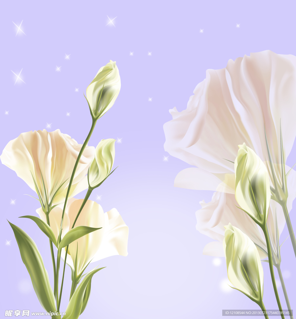 动漫花卉