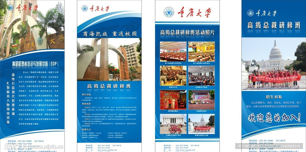 大学蓝色易拉宝