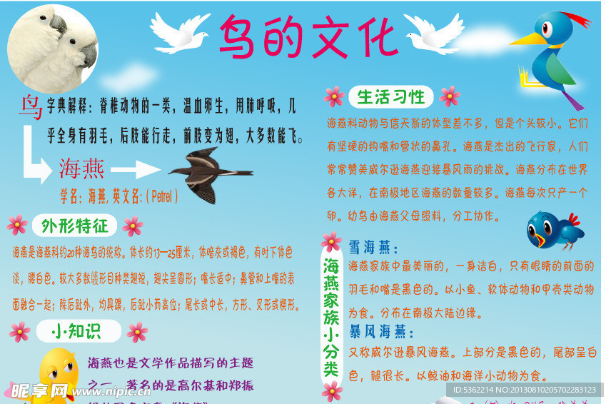 小学生校报手抄报