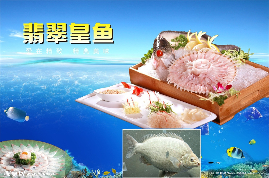 翡翠皇鱼